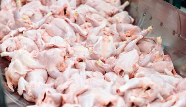 Chicken: Brazilian exports hit new record in April with 387 thousand tons Asia | Garra International