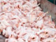Chicken: Brazilian exports hit new record in April with 387 thousand tons | Garra International