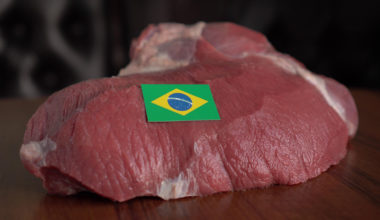 México abre mercado para carne bovina brasileira Ásia | Garra International