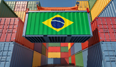 Brazil increases chicken exports by 535% in 25 years Europe | Garra International
