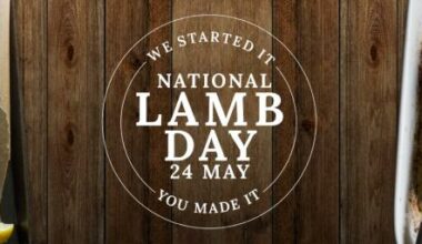 New Zealand celebrates Lamb Day with more than 406,000 tons exported Angola | Garra International