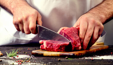 Rabobank forecasts strong outlook for New Zealand beef until 2025 Brazil | Garra International