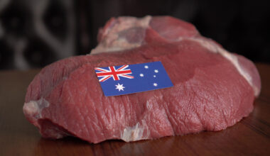 Australian beef production and exports to grow in 2023, says USDA Mexico | Garra International