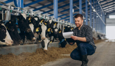Cattle and buffalo traceability to become mandatory in Brazil starting 2027 Garra International